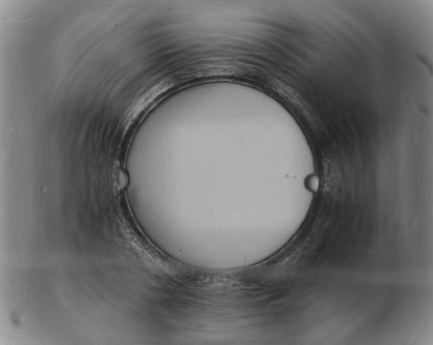 X0000102780786200809081026