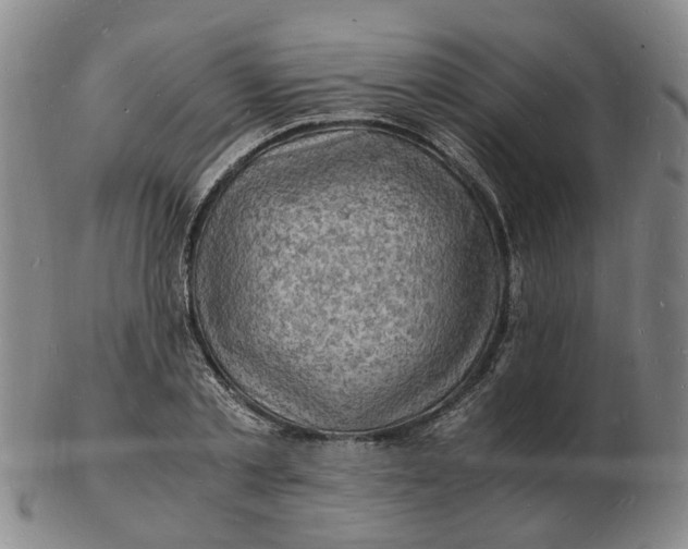 X0000102780789200809081026