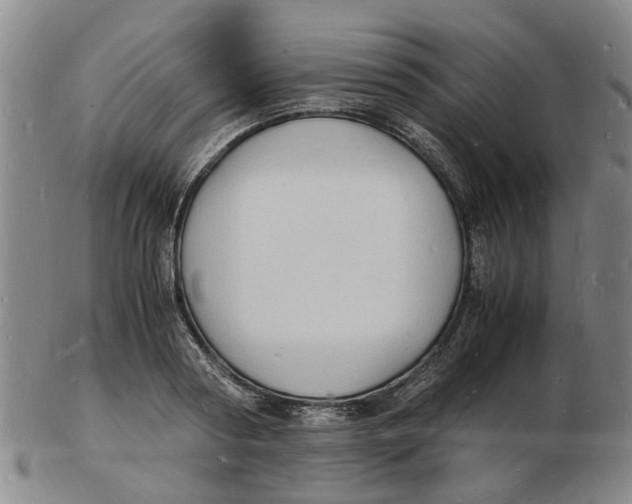 X0000102780794200809081026