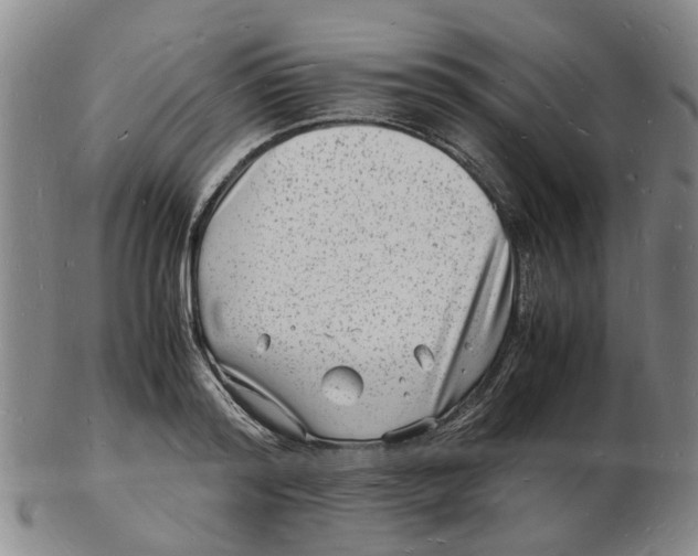 X0000102780796200809081026