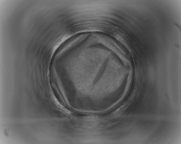 X0000102780797200809081026