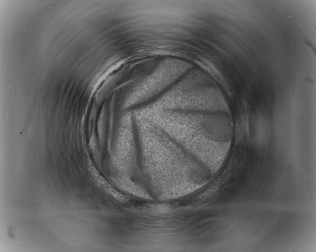 X0000102780798200809081026