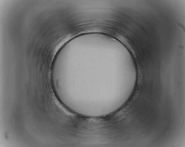 X0000102780805200809081026