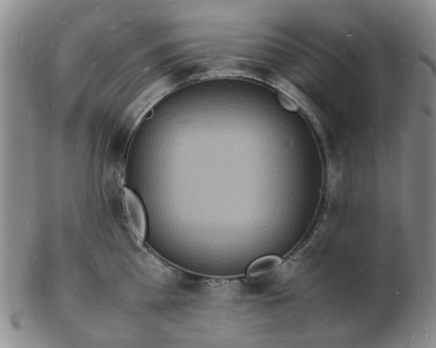 X0000102780809200809081026