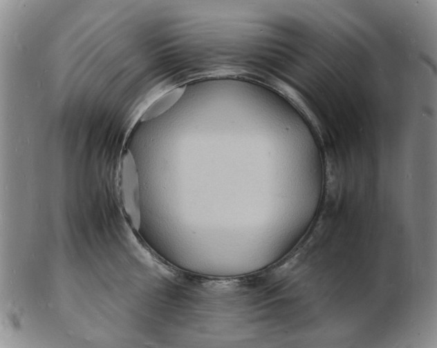 X0000102780810200809081026