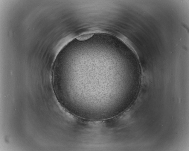 X0000102780813200809081026