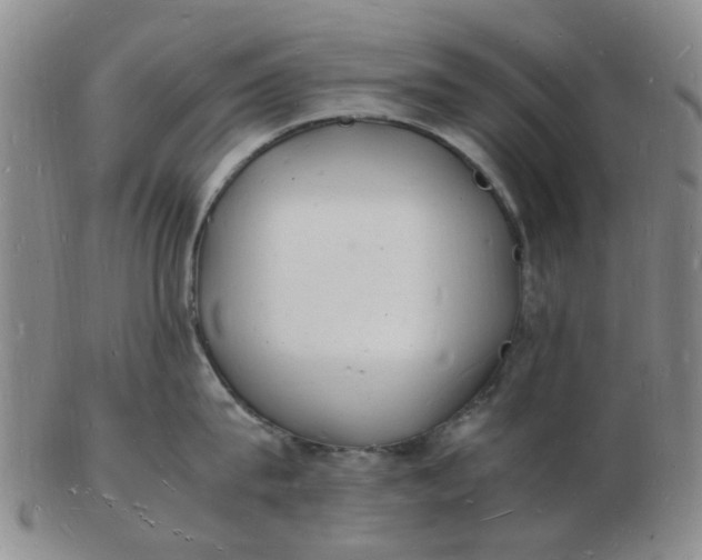 X0000102780815200809081026