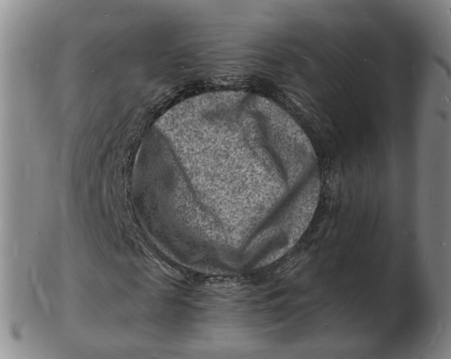 X0000102780817200809081025