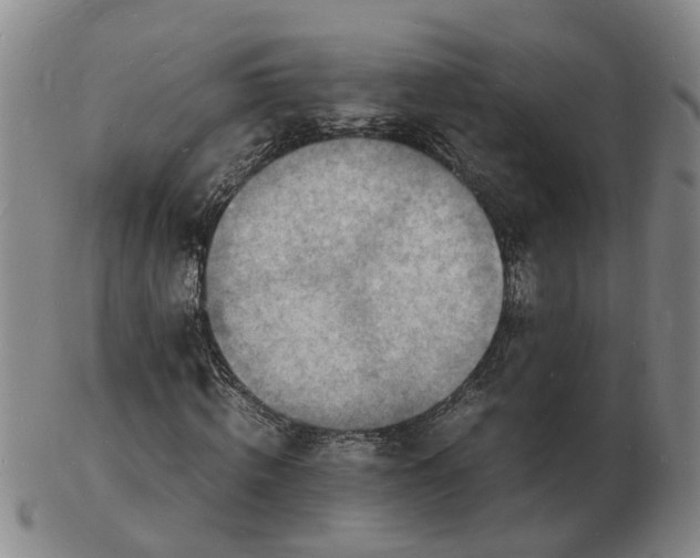 X0000102780820200809081025