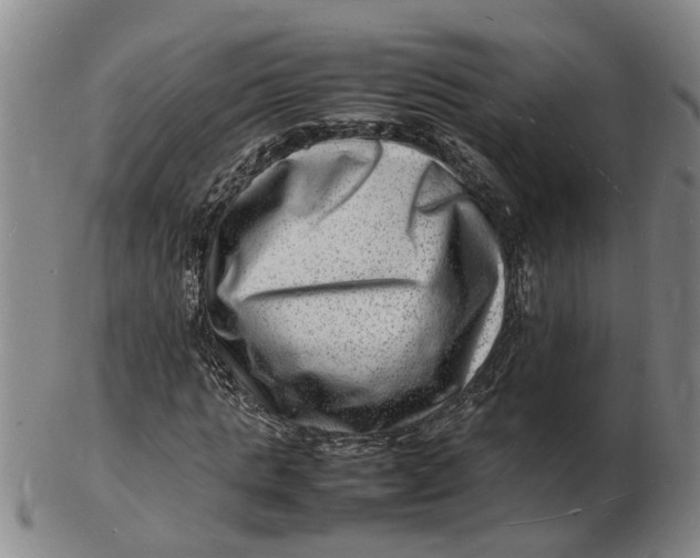 X0000102780821200809081025