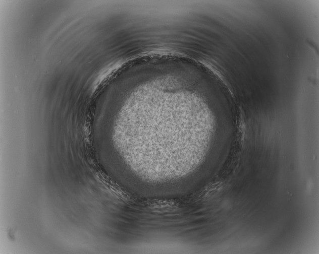 X0000102780823200809081025