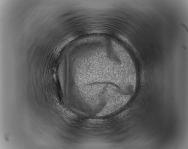 X0000102780825200809081025