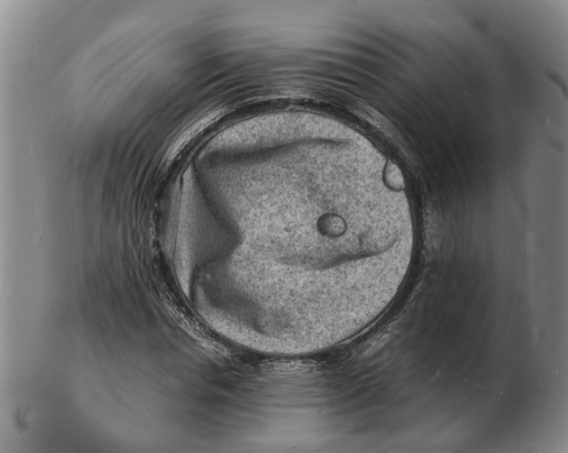 X0000102780826200809081025