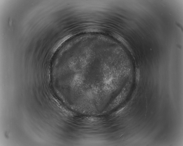 X0000102780829200809081025