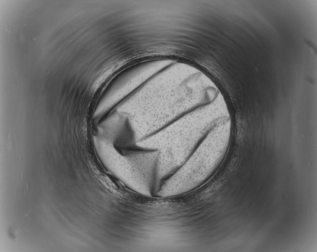 X0000102780834200809081025