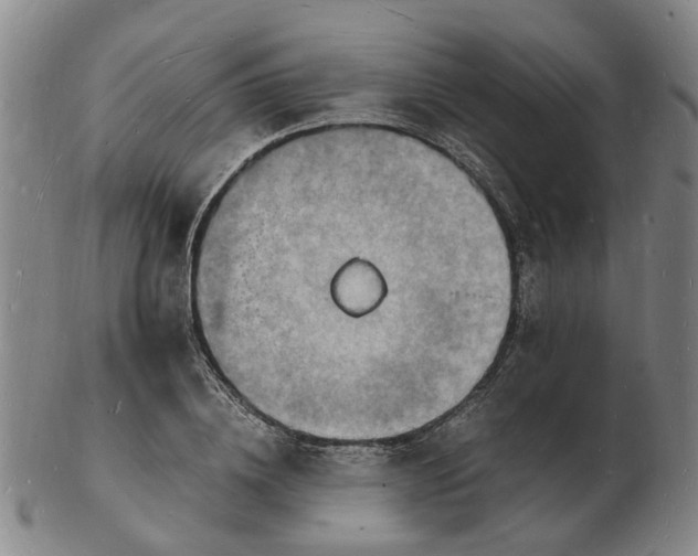 X0000102780836200809081025