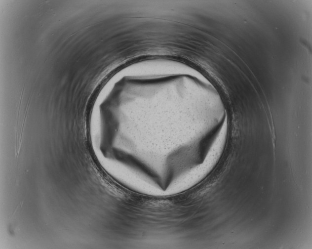 X0000102780837200809081025