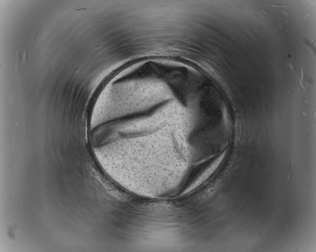 X0000102780838200809081025