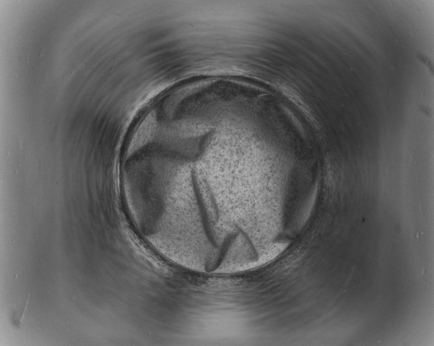 X0000102780840200809081025