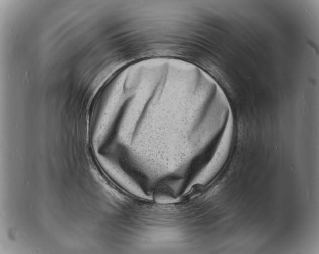 X0000102780844200809081026