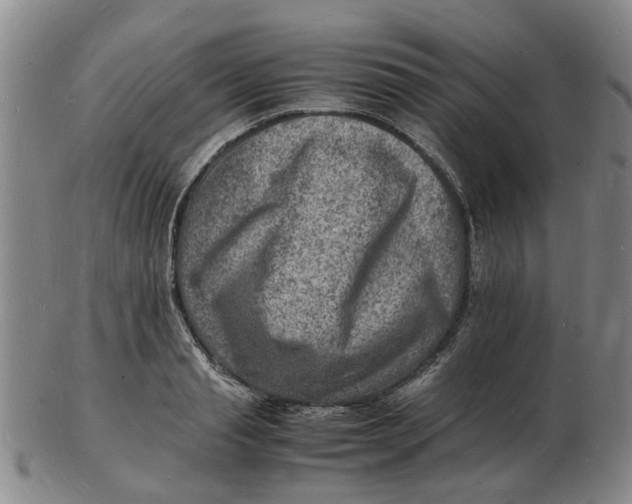 X0000102780845200809081026