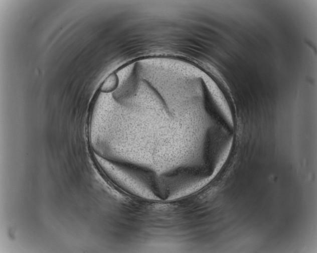 X0000102780847200809081026