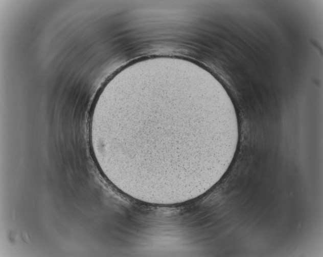 X0000102780848200809081026