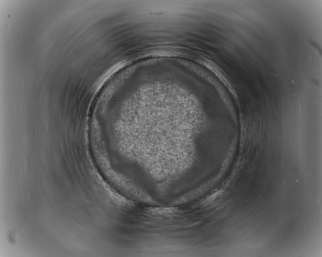 X0000102780853200809081026