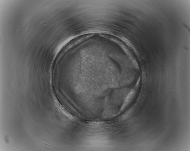 X0000102780854200809081026