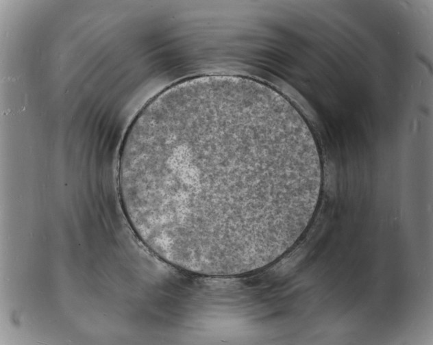 X0000102780856200809081026