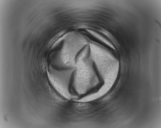 X0000102780857200809081026