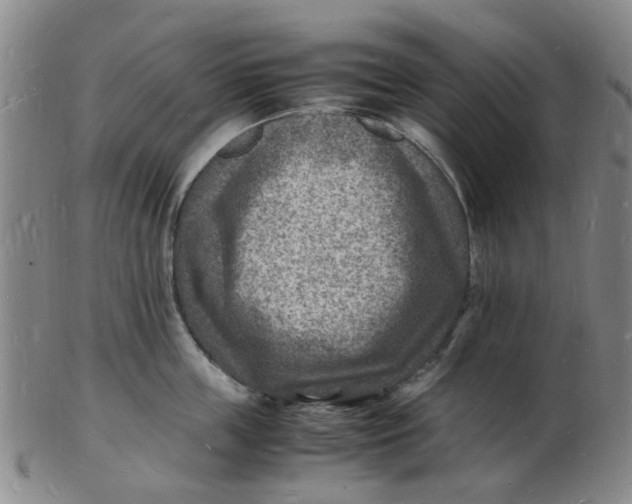 X0000102780859200809081026