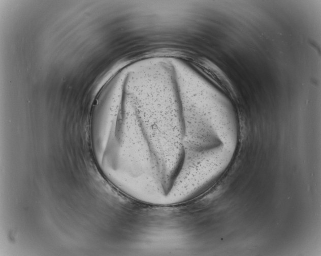 X0000102780860200809081026