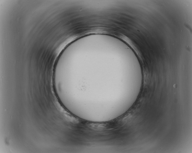 X0000102780861200809081026