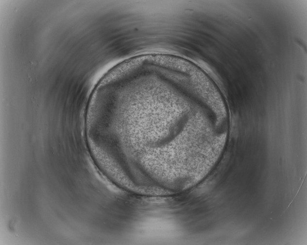 X0000102780862200809081026