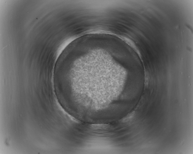 X0000102780863200809081026