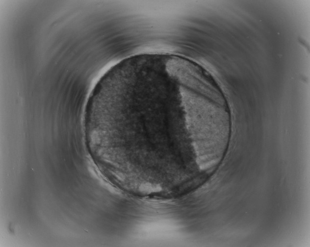 X0000102780864200809081026