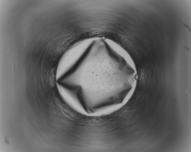 X0000102780868200809081025