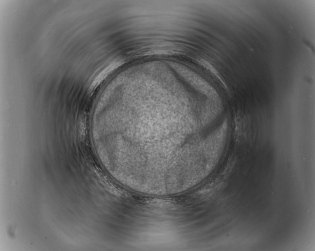 X0000102780874200809081025