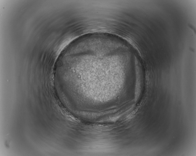 X0000102780879200809081025