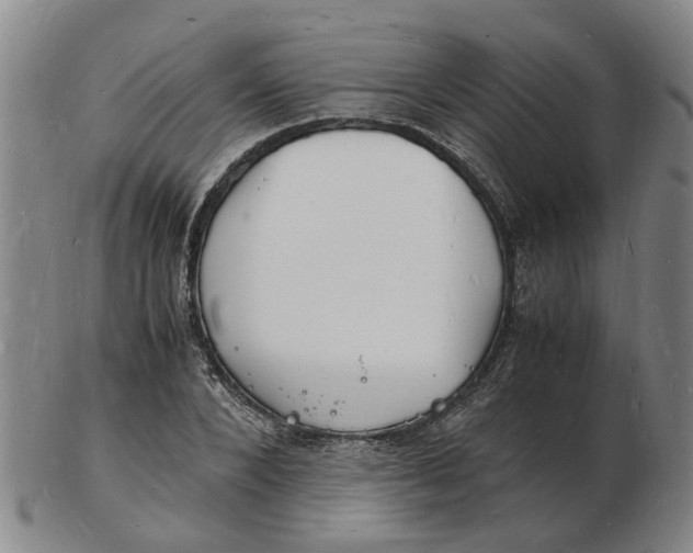 X0000102780880200809081025