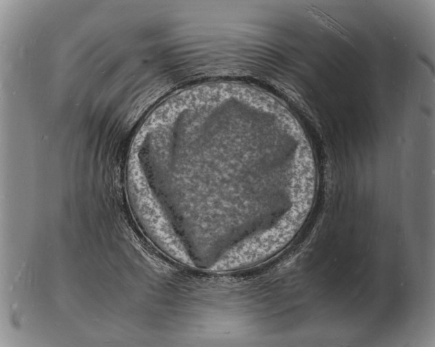 X0000102780881200809081025