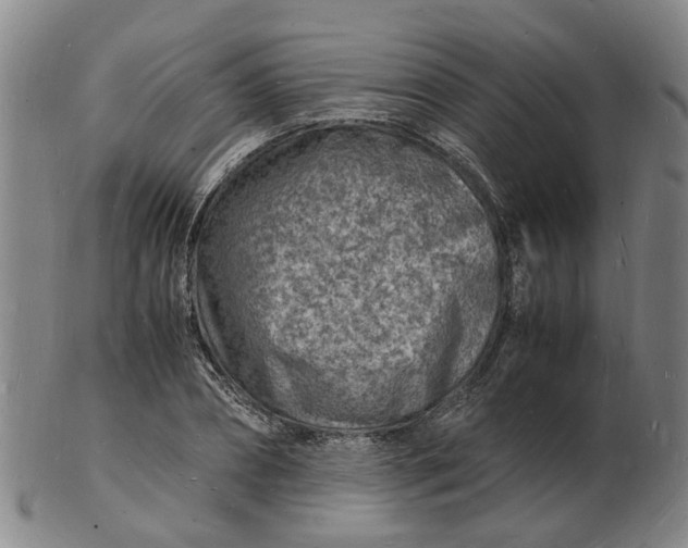 X0000102780882200809081025