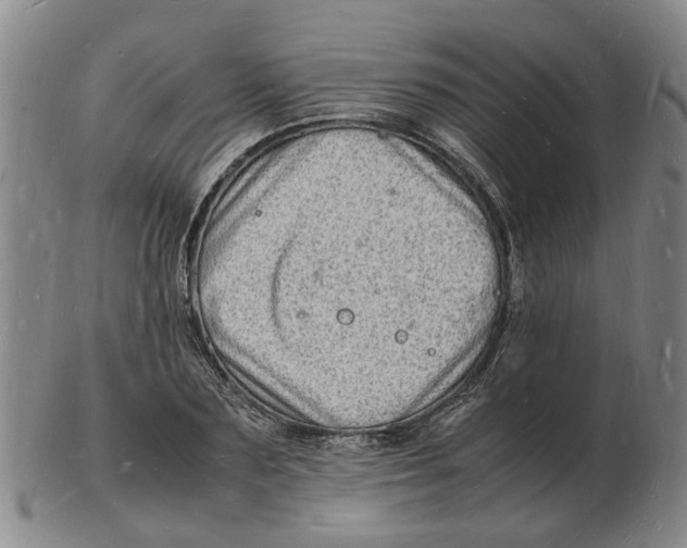 X0000102780883200809081025