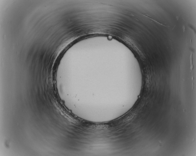 X0000102780884200809081025