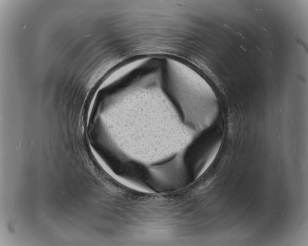 X0000102780885200809081025