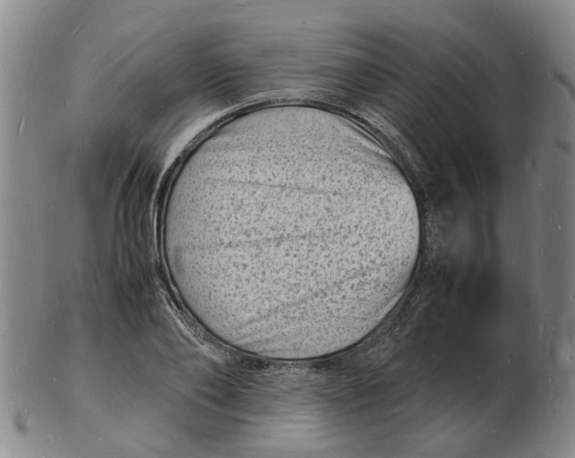 X0000102780886200809081025