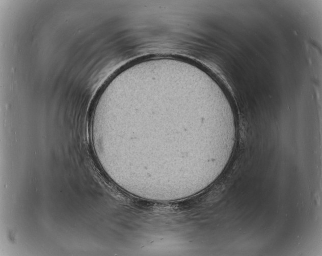 X0000102780887200809081025