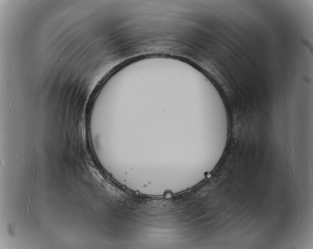 X0000102780888200809081025