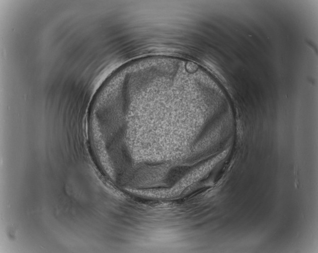 X0000102780891200809081025